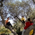 5274_dscn3555