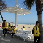 5311_dscn3451