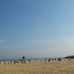 5347_dscn3452