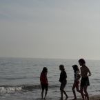 5352_dscn3463