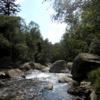 5542_dscn0865