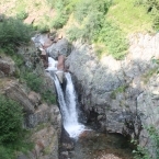 5619_img_1636