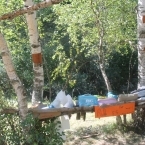 5722_img_2160