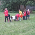 6084_cau_-17-