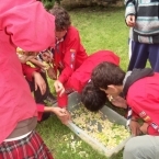 6089_cau_-19-
