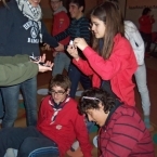 6577_m_-31-