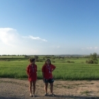 7542_photo86