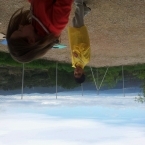 8364_img_8559
