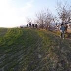 8458_img_7772