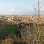 8462_img_7766
