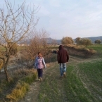 8494_img_7721