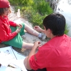 2332_campaments_s_-1-